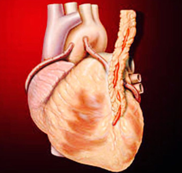 Koroner kalp hastalığının bir işareti olarak yüksek tansiyon